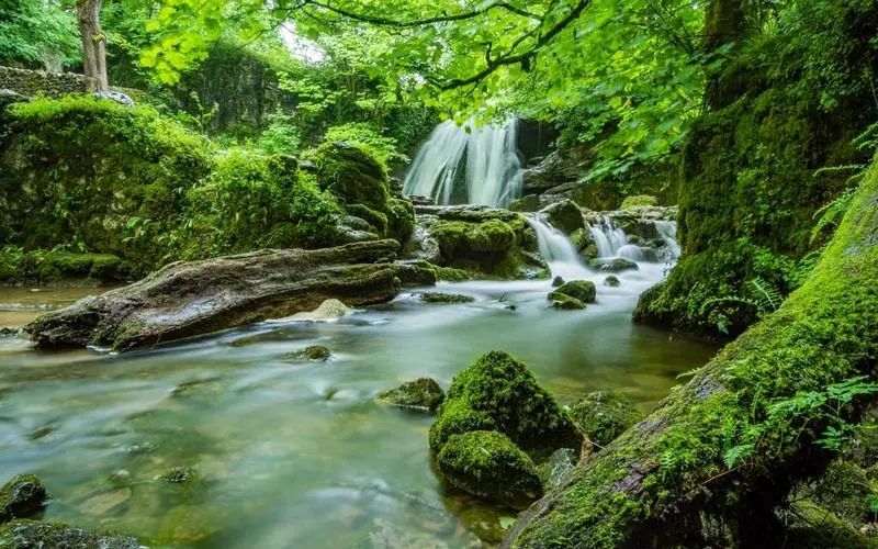 高性能智慧
